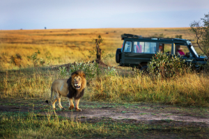 22 Days Gorilla, Chimps, Lions And Culture Safari- Uganda Tour